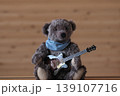 ギターを持ったテデイベア　焦げ茶クマ　茶色ギター 139107716