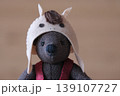 干支のかぶり物を被ったテデイベア　午　アップ 139107727
