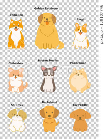 A set of cute illustrations of various types of dogs (front view) 139107746