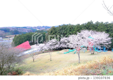 富士山公園/栃木県鹿沼市 富士山公園/栃木県鹿沼市 139107836