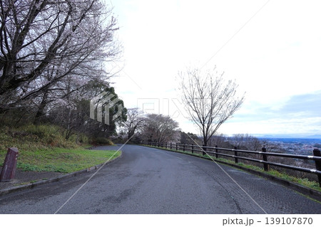 富士山公園／栃木県鹿沼市 139107870