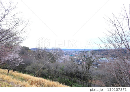 富士山公園／栃木県鹿沼市 139107871