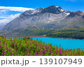 Alpine landscape of Lac du Mont Cenis with wildflowers and mountain peaks 139107949