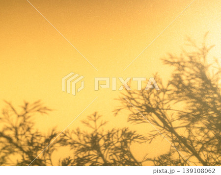 Summer Orange Yellow Gold Background Shadow Texture Leaf Summer Autumn Wall Light Abstract Floor Wall Window Tree pastel Gradient Two Tone Bright Color Paper Stone, Backdrop Frame Template. 139108062
