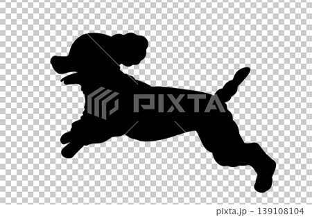 Silhouette of a running toy poodle Silhouette of a running toy poodle 139108104