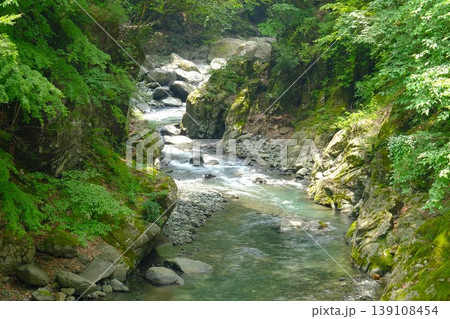 【神奈川県】緑の渓谷を流れる清流 139108454