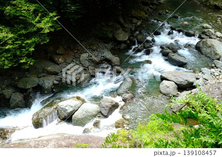 【神奈川県】緑に包まれた秘境の流れ 【神奈川県】緑に包まれた秘境の流れ 139108457