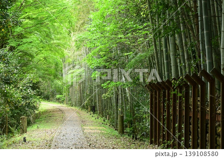 新緑の名鉄三河線廃線跡を散策する 139108580