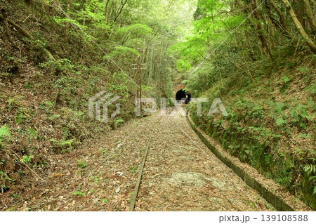新緑の名鉄三河線廃線跡を散策する 139108588