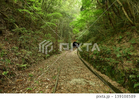 新緑の名鉄三河線廃線跡を散策する 新緑の名鉄三河線廃線跡を散策する 139108589