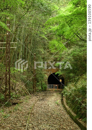 新緑の名鉄三河線廃線跡を散策する 新緑の名鉄三河線廃線跡を散策する 139108590