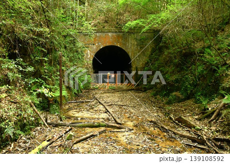 新緑の名鉄三河線廃線跡を散策する 新緑の名鉄三河線廃線跡を散策する 139108592