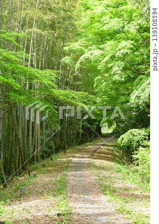 新緑の名鉄三河線廃線跡を散策する 新緑の名鉄三河線廃線跡を散策する 139108594