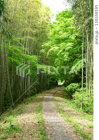 新緑の名鉄三河線廃線跡を散策する 139108595