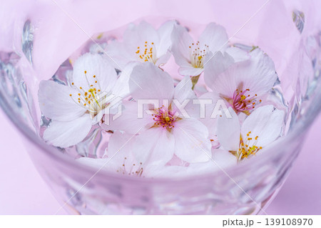 【春素材】グラスに浮かんだ桜の花【桜素材】 【春素材】グラスに浮かんだ桜の花【桜素材】 139108970