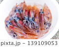 ホタルイカ 139109053