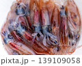 ホタルイカ 139109058