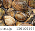 砂出し中のアサリのアップ 139109194