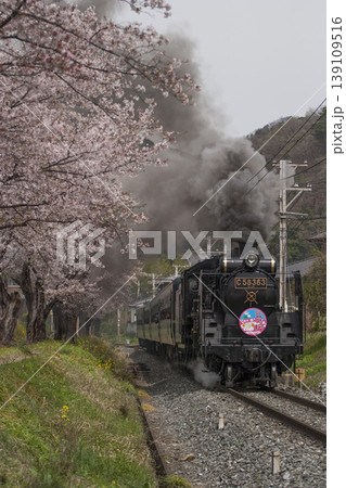 SLパレオエクスプレスと桜並木 SLパレオエクスプレスと桜並木 139109516