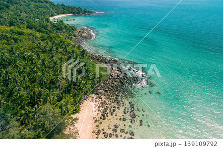 Aerial top-down view of a stunning tropical beach with clear turquoise water, rocky coastline, and lush palm trees. 139109792