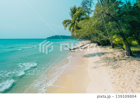 Idyllic tropical beach scene with a fallen tree trunk, white sand, and palm trees. Idyllic tropical beach scene with a fallen tree trunk, white sand, and palm trees. 139109804