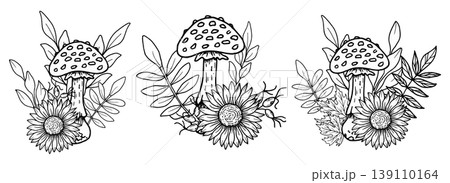 Composition of mushroom with sunflower, rose hips, maple leaves. Botanical vector illustration. Hand drawn in black ink. Outline drawing of fly agaric and berries for seasonal holidays, Thanksgiving. Composition of mushroom with sunflower, rose hips, maple leaves. Botanical vector illustration. Hand drawn in black ink. Outline drawing of fly agaric and berries for seasonal holidays, Thanksgiving. 139110164