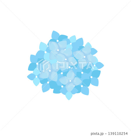 紫陽花の花イラスト 水彩タッチ 葉なし 水色 単体素材 紫陽花の花イラスト 水彩タッチ 葉なし 水色 単体素材 139110254