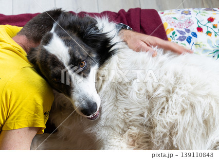 happy white dog and owner hugging in bed happy white dog and owner hugging in bed 139110848