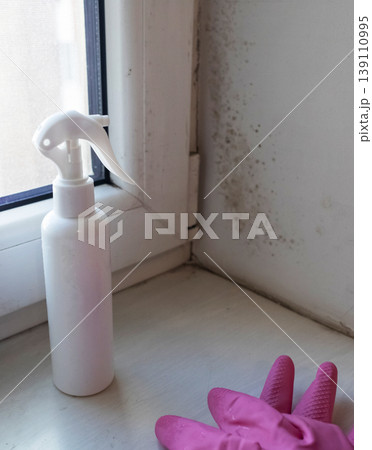 Person in pink gloves cleaning mold on window sill and walls using antifungal spray. Removing toxic black mold and mildew from window frame and plaster. Home maintenance and hygiene. Person in pink gloves cleaning mold on window sill and walls using antifungal spray. Removing toxic black mold and mildew from window frame and plaster. Home maintenance and hygiene. 139110995