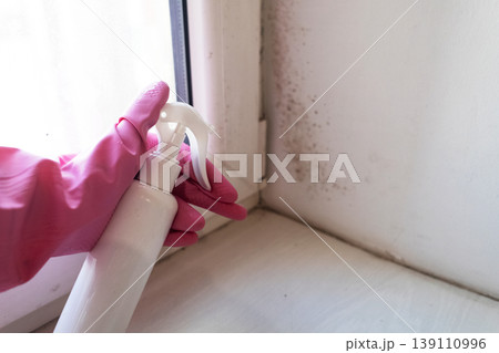 Person in pink gloves cleaning mold on window sill and walls using antifungal spray. Removing toxic black mold and mildew from window frame and plaster. Home maintenance and hygiene. Person in pink gloves cleaning mold on window sill and walls using antifungal spray. Removing toxic black mold and mildew from window frame and plaster. Home maintenance and hygiene. 139110996