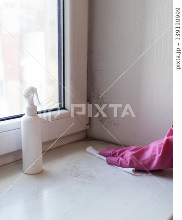 Person in pink gloves cleaning mold on window sill and walls using antifungal spray. Removing toxic black mold and mildew from window frame and plaster. Home maintenance and hygiene. 139110999