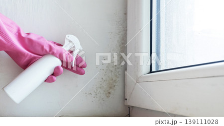 Person in pink gloves cleaning mold on window sill and walls using antifungal spray. Removing toxic black mold and mildew from window frame and plaster. Home maintenance and hygiene. 139111028