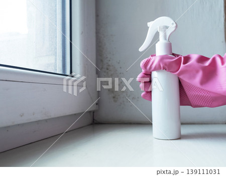 Person in pink gloves cleaning mold on window sill and walls using antifungal spray. Removing toxic black mold and mildew from window frame and plaster. Home maintenance and hygiene. 139111031