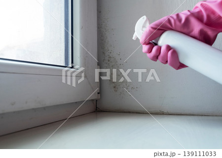 Person in pink gloves cleaning mold on window sill and walls using antifungal spray. Removing toxic black mold and mildew from window frame and plaster. Home maintenance and hygiene. Person in pink gloves cleaning mold on window sill and walls using antifungal spray. Removing toxic black mold and mildew from window frame and plaster. Home maintenance and hygiene. 139111033