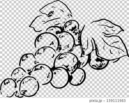葡萄的簡筆畫風格插圖 葡萄的簡筆畫風格插圖 139111983