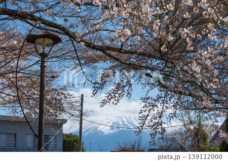 街灯と桜 139112000