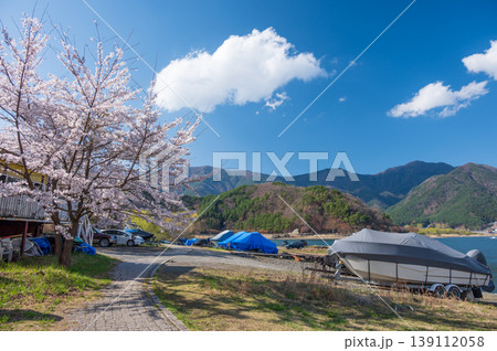 河口湖畔の桜 日本の春 河口湖畔の桜 日本の春 139112058