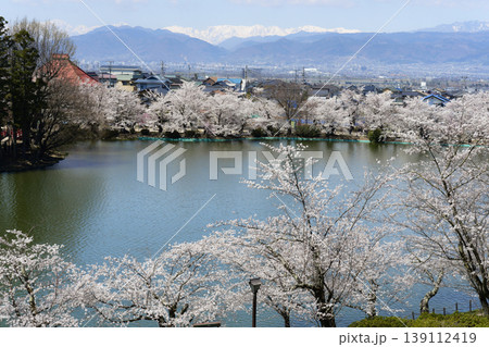 須坂市臥竜公園の桜 須坂市臥竜公園の桜 139112419