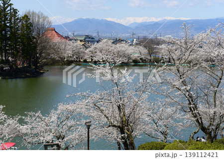 須坂市臥竜公園の桜 139112421