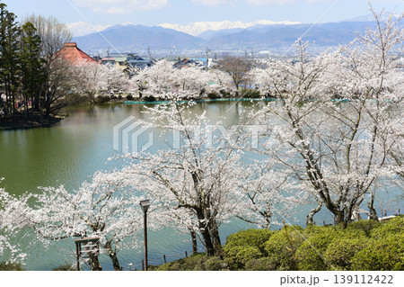 須坂市臥竜公園の桜 139112422
