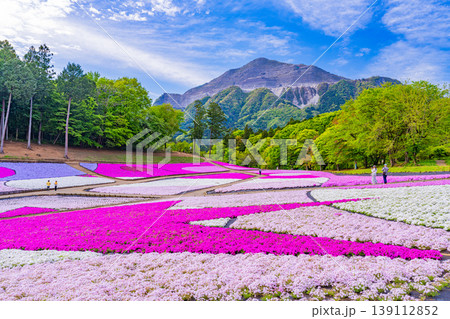 (埼玉県)秩父市 羊山公園・芝桜の丘 (埼玉県)秩父市 羊山公園・芝桜の丘 139112852