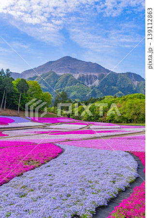 (埼玉県)秩父市 羊山公園・芝桜の丘 (埼玉県)秩父市 羊山公園・芝桜の丘 139112863