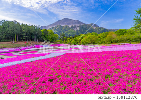 (埼玉県)秩父市 羊山公園・芝桜の丘 (埼玉県)秩父市 羊山公園・芝桜の丘 139112870