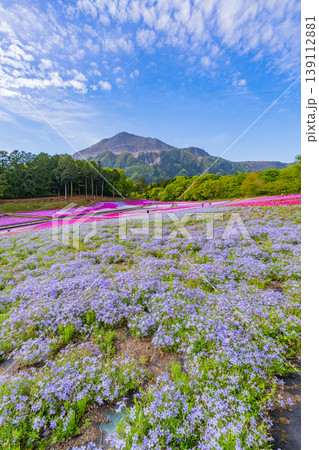 (埼玉県)秩父市 羊山公園・芝桜の丘 (埼玉県)秩父市 羊山公園・芝桜の丘 139112881