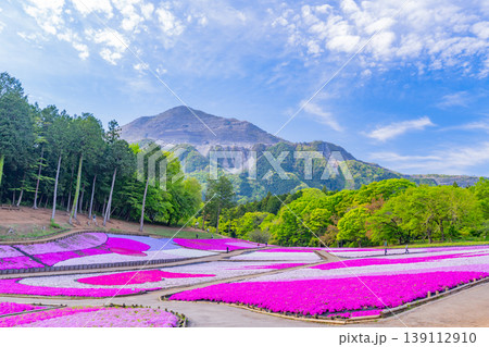 (埼玉県)秩父市 羊山公園・芝桜の丘 (埼玉県)秩父市 羊山公園・芝桜の丘 139112910