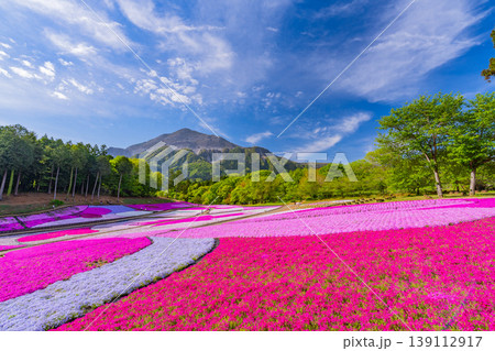 (埼玉県)秩父市 羊山公園・芝桜の丘 (埼玉県)秩父市 羊山公園・芝桜の丘 139112917
