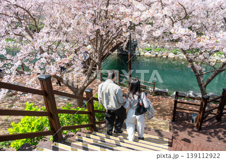 Couple at Dongsam Sea Stream to cherry blossom tunnel, Busan Couple at Dongsam Sea Stream to cherry blossom tunnel, Busan 139112922