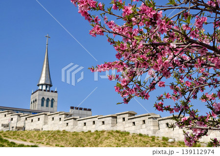 Cherry blossom by Seoul city wall or Hanyangdoseong, Korea Cherry blossom by Seoul city wall or Hanyangdoseong, Korea 139112974