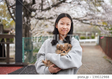 春の桜満開の住宅地の公園で可愛いポメラニアンの子犬と一緒に花見する女子中学生の姿 春の桜満開の住宅地の公園で可愛いポメラニアンの子犬と一緒に花見する女子中学生の姿 139112988