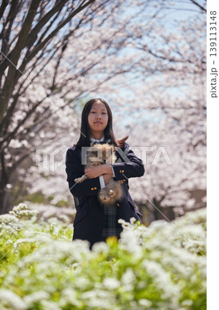 春の桜満開の公園で犬と楽しく遊んでいる女子中学生の姿	 139113148